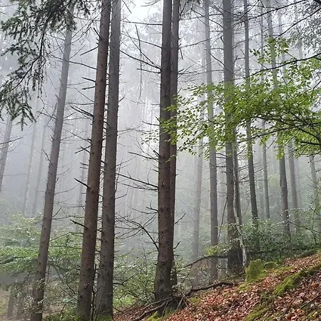 Staffel's Hob 公寓 Oberrosphe