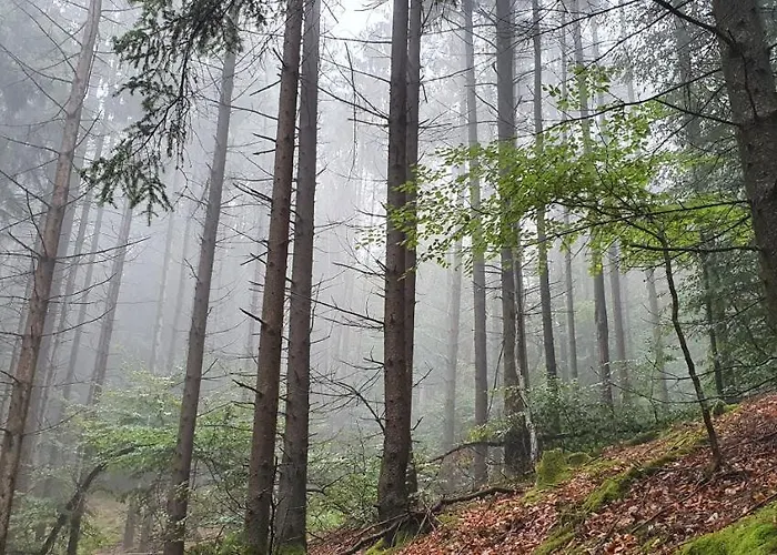 Staffel's Hob アパート Oberrosphe