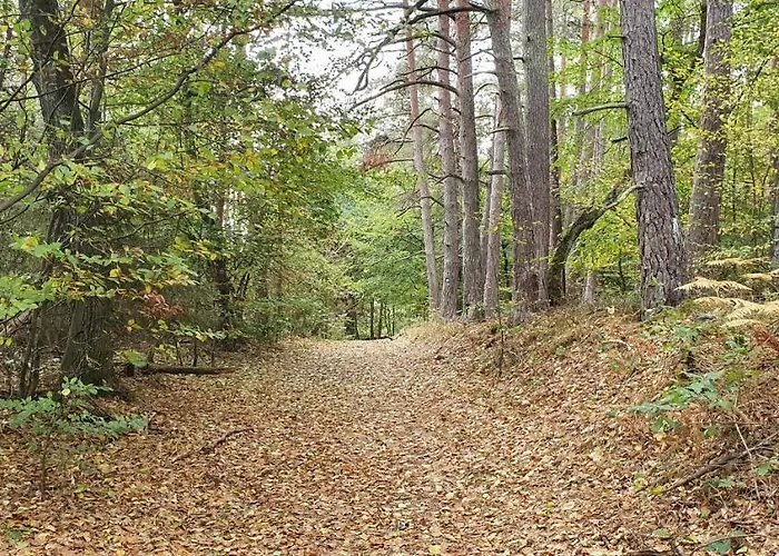 Staffel's Hob Oberrosphe